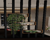 Shelf partitionPlant