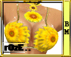 [R] Sunflower dance bm