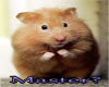 pw - Master Hamster