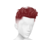 Ginger