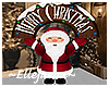 Merry Christmas Santa