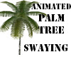 SWAYING PALM TREE