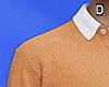 ð. Polo Shirt