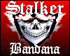 Stalker Bandana