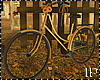 Bicycle  Poses Bike Gold