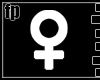  black gold-F