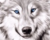 ~Liv~ ♦Fenris Wolf♦