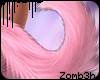 z | Pup Tail - Sugar