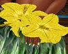 Yellow Island Corsages