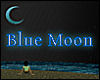 ~Blue Moon~