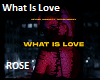 What Is Love RMX
