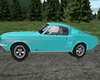Blue Mustang FB67 Joy