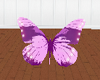 {KC}Pink butterfly