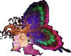 Fairy 0114