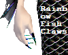 Rainbow Fish Claws