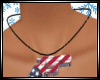 !S! N America Necklace