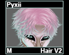 Pyxii Hair M V2