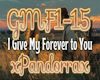 I Give My Forever To You