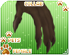 [Pets] Spar | claws