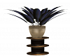 Planter w Feathers