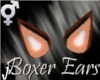 [J-O]Brown Boxer Ears