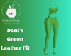 Dani's Green Leather Fit