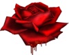 D_Roses Stiker
