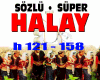 Halay Sozlu Super121-158