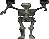 Skeleton3(Anim)