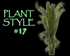 (IKY2) PLANT STYLE #17