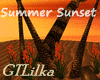 Summer Sunset Palm Trees