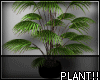 A- Plant v1