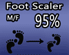 Scaler Foot -Pie 95%