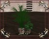 Slate Plant