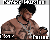 Perfect Muscles Patrao