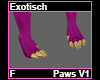 Exotisch Paws F V1