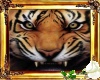 Tiger's Head