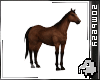 HORSE PET