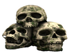 3  Skulls