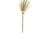 *Greek Gold Fan