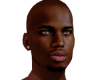 Fine Chocolate