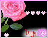 rose Frame Sticker