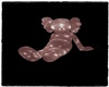 KWS Sit