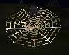 (Fe) silver spider + web