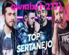 (MIX) Top Sertanejo