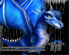 Baby Dragon Blue [NyN]