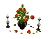 Roses with Candles