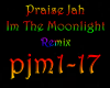 Praise Jah In Moonlight