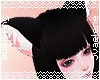 Kitten Ears |Black