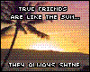 True Friends Shine...
